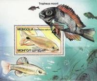 (1987-008) Блок марок  Монголия "Тупорылая Цихлида"    Аквариумные рыбки III Θ