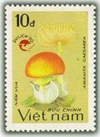 (1990-111) Марка Вьетнам "Цезарский гриб"    Туризм III Θ