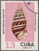 (1973-085) Марка Куба "Блайна"    Раковины молюсков III Θ
