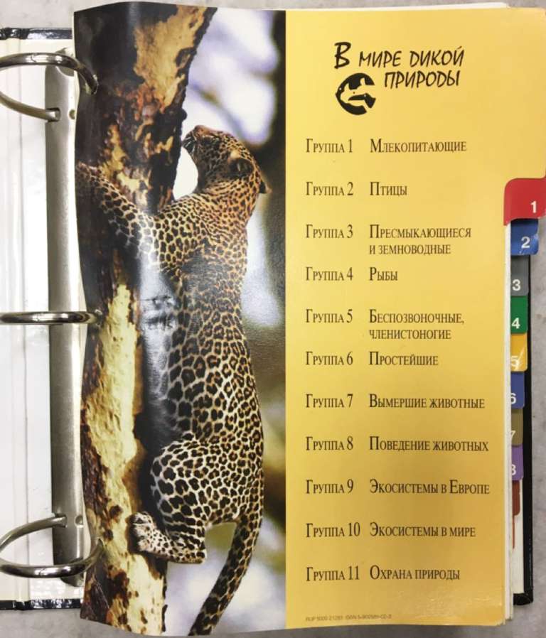 Альбом "В мире дикой природы" (сост. на фото)