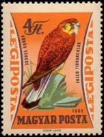 (1962-077) Марка Венгрия "Обыкновенная Пустельга "    Хищные птицы III Θ