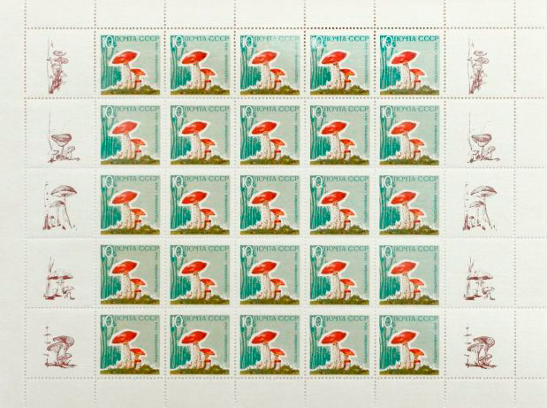 1964-157a  Лист (25 м + 2 куп, 5х7) СССР Маслята С лакиров. (30 ноября)   Грибы III O