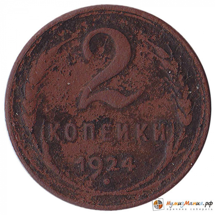 (1924 Рубчатый гурт) Монета СССР 1924 год 2 копейки   Медь  F