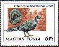 (1977-020) Марка Венгрия "Павлиний фазан"    Павлины и фазаны II Θ
