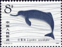 (№1980-1656) Марка Китай 1980 год "Янцзы Речной Дельфин Lipotes vexillifer ", Гашеная