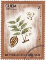 (1975-045) Марка Куба "Цедрела душистая"    Лесопосадки II Θ
