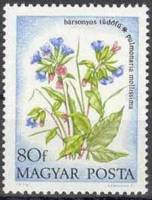 (1973-057) Марка Венгрия "Медуница мягкая"    Полевые цветы II Θ