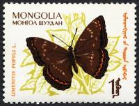 (1963-022) Марка Монголия "Адмирал"    Насекомые. Бабочки II Θ