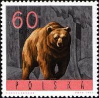 (1965-078) Марка Польша "Бурый медведь"   Животные II Θ