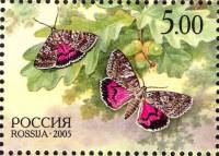 2005-033  Марка из блока Россия Бабочки  Природа III O