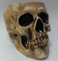 Фигурное кашпо "Череп" бежевое,акрил,0.5 л (сост на фото)