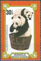 (1977-073) Марка Монголия "Купание панды"    Панды, или бамбуковые медведи II Θ