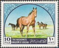 (№1969-698) Марка Иордания 1969 год "Арабская лошадь equus ферусом caballus", Гашеная