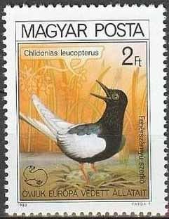 (1980-054) Марка Венгрия &quot;Белокрылая болотная крачка&quot; ,  III O