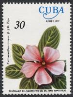 (1977-034) Марка Куба "Катарантус розовый"    Цветы III Θ