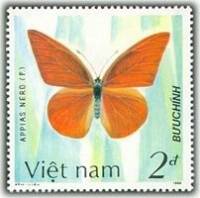 (1987-038a) Марка Вьетнам "Оранжевый Альбатрос"  Без перфорации  Бабочки III Θ