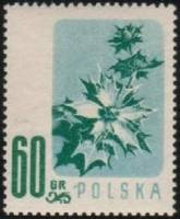 (1957-029) Марка Польша "Синеголовник приморский"   Цветы II Θ