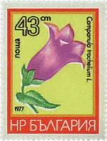 (1977-012) Марка Болгария "Колокольчик крапиволистный"   Горные цветы III Θ