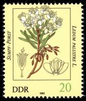 (1982-031) Марка Германия (ГДР) "Багульник болотный"    Ядовитые растения III Θ