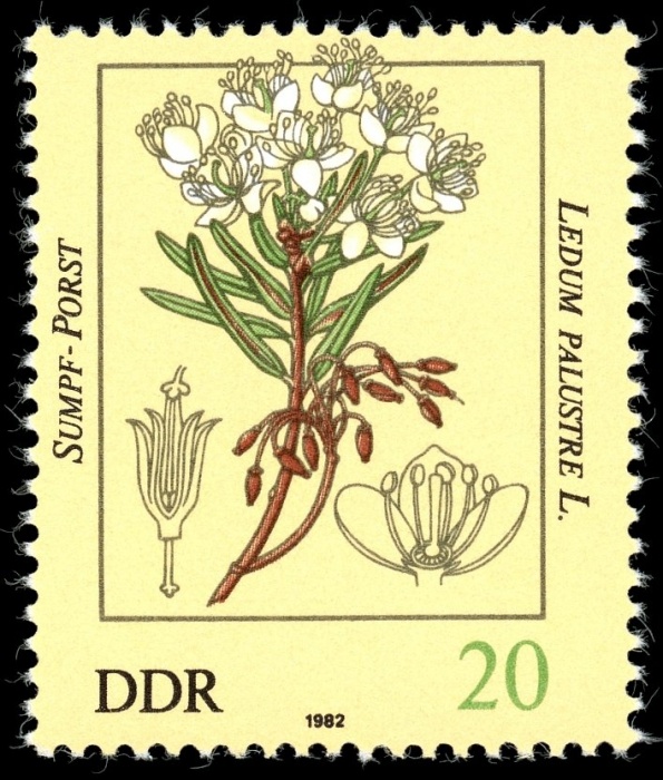 (1982-031) Марка Германия (ГДР) &quot;Багульник болотный&quot;    Ядовитые растения III Θ