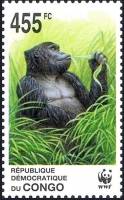 (№2002-1711) Марка Республика Конго 2002 год "Восточная равнинная Горилла Горилла горилла graueri", 