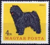 (1967-040) Марка Венгрия "Пули"    Собаки III Θ