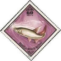 (1975-048) Марка Монголия "Монгольский краснопер"    Промысловые рыбы III Θ