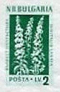 (1953-053) Марка из блока Болгария "Наперстянка пурпурная"   Лекарственные растения Болгарии (2) III