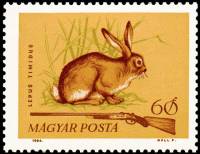 (1964-095) Марка Венгрия "Заяц-Беляк"    Охота III Θ