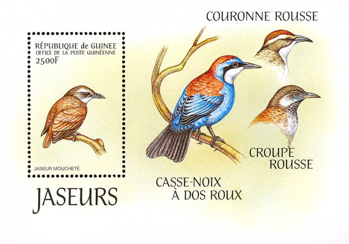 (№1999-610) Блок марок Республика Гвинея 1999 год &quot;Abbott039s Лаос с уведомлением BabblernbspMalacoc