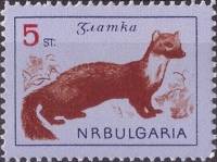 (1963-021) Марка Болгария "Куница"   Дикие животные III Θ