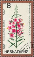 (1982-024) Марка Болгария "Иван-чай"   Лекарственные растения III Θ