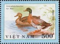 (1990-005) Марка Вьетнам "Кряква и селезень"    Утки III Θ