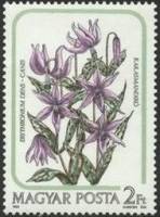 (1985-060) Марка Венгрия "Кандык европейский"    Цветы Лилии II Θ
