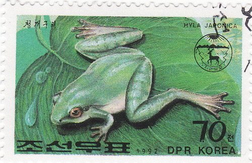 (1992-090) Марка Северная Корея &quot;Дальневосточная квакша&quot;   Лягушки и жабы (1) III O