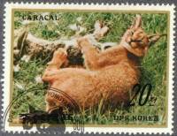 (1984-076) Марка Северная Корея "Каракал"   Животные III Θ