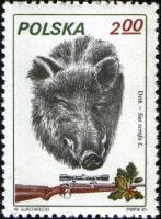 (1981-021) Марка Польша "Кабан"    Охота III Θ