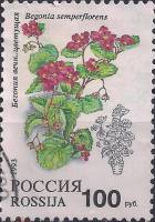 1993-018  Марка Россия Бегония вечноцветущая  Комнатные растения III Θ