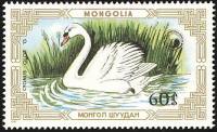 (1987-040) Марка Монголия "Лебедь-шипун в воде"    Лебеди III Θ