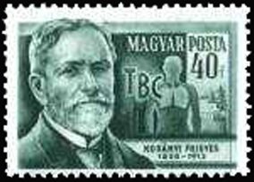 (1954-056) Марка Венгрия "Фригис фон Кораний"    Ученые III O