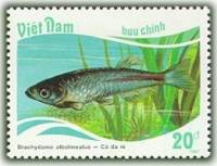 (1988-014) Марка Вьетнам "Жемчужный Данио"    Тропические рыбы III Θ