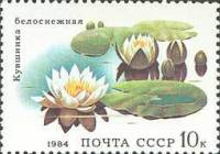 1984-041 Марка СССР Белоснежная кувшинка  Водные растения III O