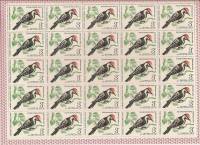 1979-071  Лист (25 м 5х5) СССР Малый пёстрый дятел   Птицы III O