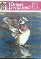 Журнал "Юный натуралист" № 10 Москва 1981 Мягкая обл. 48 с. С цв илл