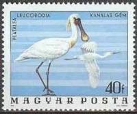 (1977-82) Марка Венгрия "Обыкновенная колпица"    Птицы Национального парка Хортобадь II Θ
