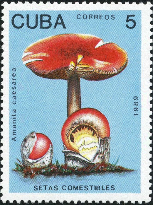 (1989-008) Марка Куба &quot;Мухомор императорский&quot;    Съедобные грибы II Θ