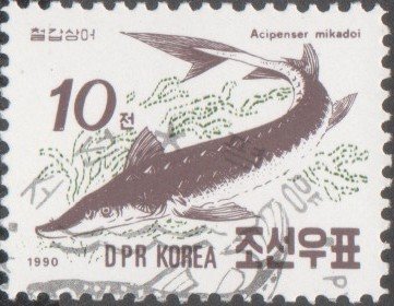 (1990-081) Марка Северная Корея &quot;Сахалинский осётр&quot;   Рыбы III Θ