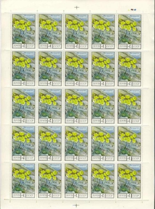 1975-105  Лист (25 м 5х5) СССР Мак полярный  Флора III O