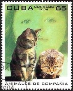 (№4628) Марка Куба 2004 год &quot;Кошек felis silvestris зато&quot;, Негашеная