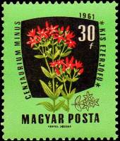 (1961-086) Марка Венгрия "Золототысячник обыкновенный"    Лекарственные растения II Θ